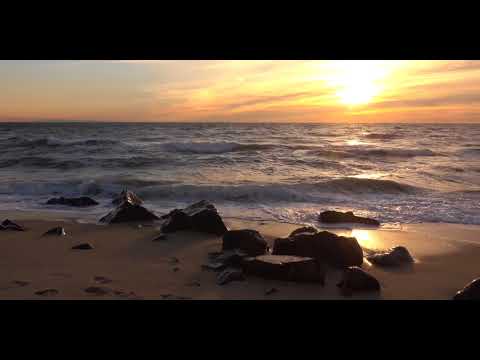 Reflecting Video