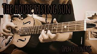 The house of the rising sun, Resonator Guitar