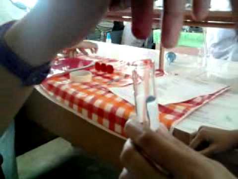 Capillary Puncture