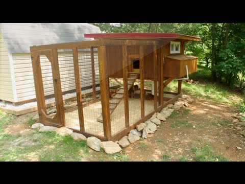 Backyard chickens - Chicken coop tour- Easy to clean - YouTube