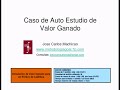 Valor Ganado. indicadores, CPI SPI , VP VR VG, Planificado Real, Curva S
