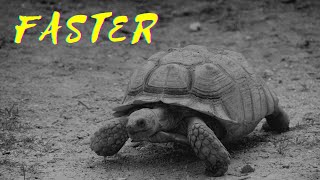 Faster is SLOWER?! - Tips for Recovery #shorts