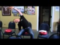 Re-hydrating degenerated discs exercise