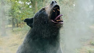 Медведь Съел 40 Кг Кокаина И Начал Охотиться На Туристов В Поисках Добавки