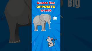 Opposite Challenge Guess The Antonym