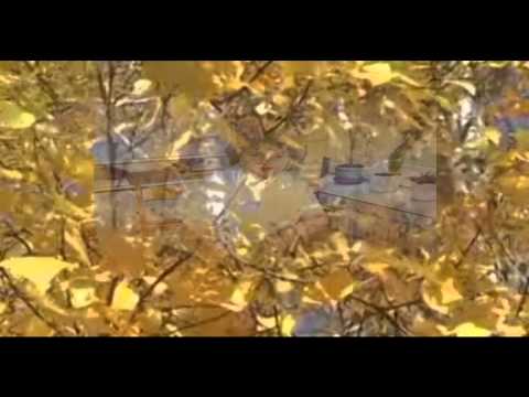 Скачать песню а нам лишь только 50