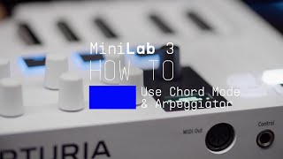 MiniLab 3 | How To Use Chord Mode & the Arpeggiator