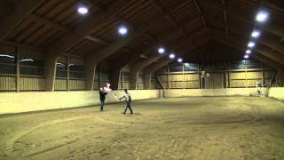 Magnum Reloaded Epp Shockflyer Indoor Geisenhausen Air Combat 2012
