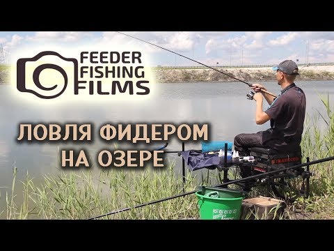 как ловить фидером на море как ловить фидером на море