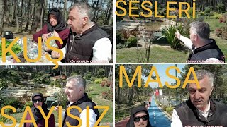 Mi̇llet Bahçesi̇ Ümrani̇ye İstanbul İçeri̇si̇nde Kuş Sesleri̇ İçeri̇si̇nde Pi̇kni̇k Ve Gezi̇