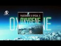 Pulsedriver & Special D. - Oxygene