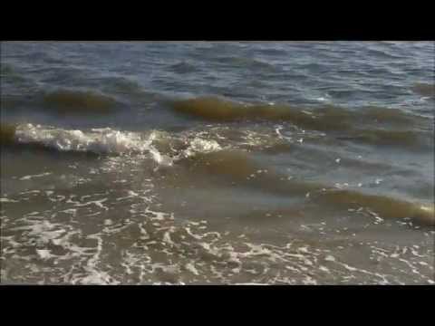 Elite Property Management on Learn And Talk About Jekyll Island  Georgia  Barrier Islands Of