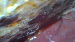 Short Stay With My Dinner