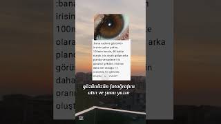 Sizde Yapınn