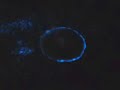 Blue glow ocean (bioluminescence) in Cairns