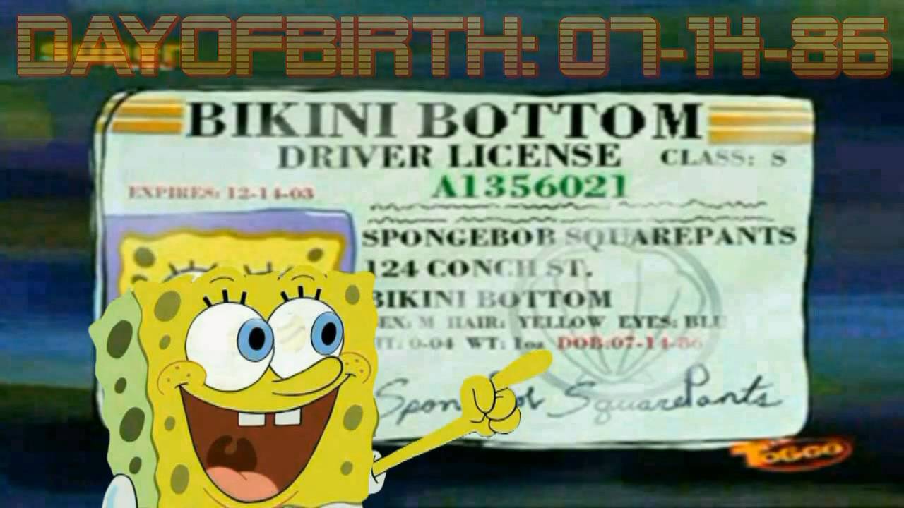 spongebob gets his drivers license