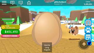 Roblox Crazy Egg Opening Magnet Sim.