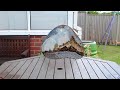 The Terminator Movie Well Almost T 1000 Liquid Metal Created ...