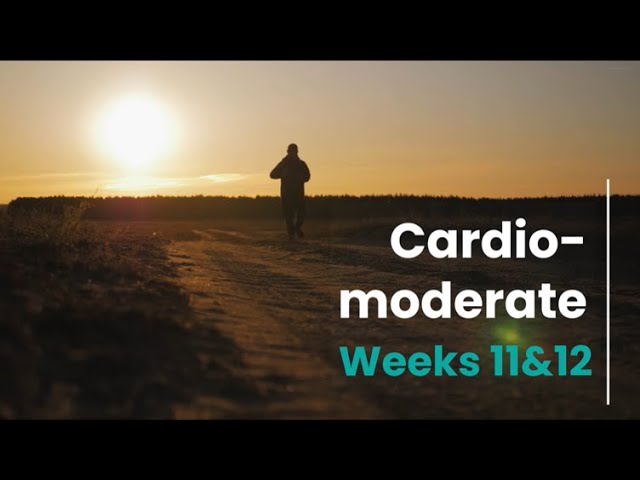 Cardio-Moderate - Week 11&12 (Control)