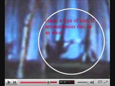 alice in wonderland midget hanging on tree hot naked moms butts