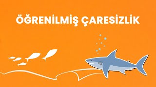 Öğrenilmiş Çaresizlik