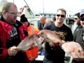 Snapper Fishing The SMile Factory Melbourne Fishing CHarters 5 days in November 2010 Snapper Fishing The SMile Factory Melbourne Fishing CHarters 5 days in November 2010