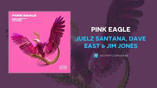 Watch Juelz Santana Pink Eagle feat Dave East  Jim Jones video