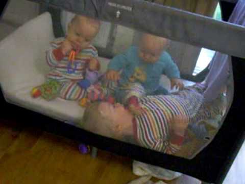 Four Little Boys In A Travel Cot