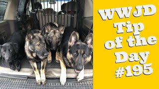 What Would Jeff Do? Dog Training Tip of the Day #195 Holding a command