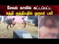 சேவல் காலில் கட்டப்பட்ட கத்தி குத்தியதில் ஒருவர் பலி | Salem Cock Fight | PolimerNews