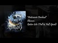 Obscura - Anticosmic Overload - Guitar Solo [Full & Half Speed]