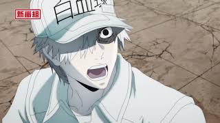 Cells at Work!! video 5