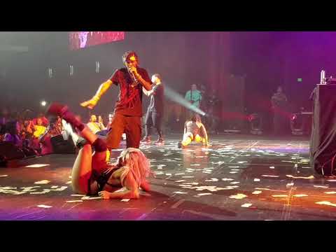 Nicole ThePole performs w/ Ludacris (How Low) Pain is Love Tour