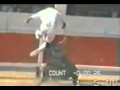 Corrida - Inculato da un toro