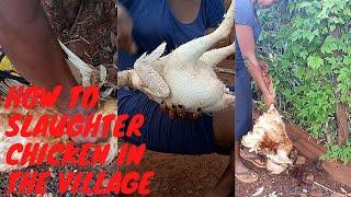 Easiest Way To Slaughterbutcher Chicken Typical Village Life How To Make Kienyeji Soft Pawpaw