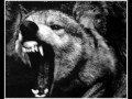 To The Wolves At My Door Video preview