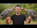 GUINEA FOWL COOKING IN OVEN | TANDOORI BAKED RECIPE | ROASTED TEETARI BY WILDERNESS COOKING