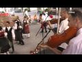 Folk Dance House Music Hungary(17)