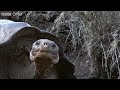 Funny Talking Animals - Walk On The Wild Side - Episode Three Preview - BBC One