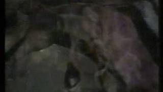 fragglarna - den otäcka tunneln