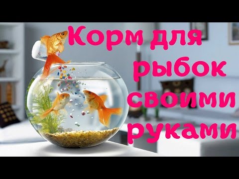 Аквариумный корм своими руками для 15