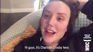 An Exciting Message from Charlotte Crosby (WDC x Prizeo competition)