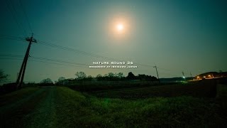 Nature Sound 36 - ONE HOUR SOUND in SPRING JAPAN / THE MOST RELAXING SOUNDS -