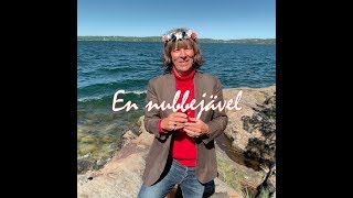 En Nubbejävel