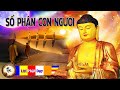 Câu Chuyện Phật Giáo Hay Nhất Về Nhân Quả và Số Kiếp Con Người - Kể truyện đêm khuya