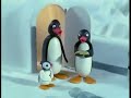 Pingu Episodes Full Movie Pingu Cartoon Full Episodes 126 130 ...