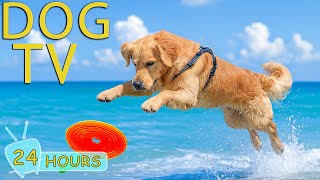 Dog Tv Best Videos Entertain For Dogs To Watch While Youre Away Home - Relax All Day Music For Dog