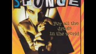 Watch Sponge Leave This World video