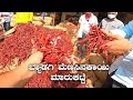 Byadagi Menasinakayi Market ಬ್ಯಾಡಗಿ ಮೆಣಸಿನಕಾಯಿ ಮಾರುಕಟ್ಟೆ Byadagi Chillies | Kannada Vlogs