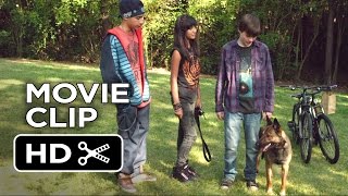 Max Movie CLIP - Air Jordan of Dogs (2015) - War Dog Drama HD